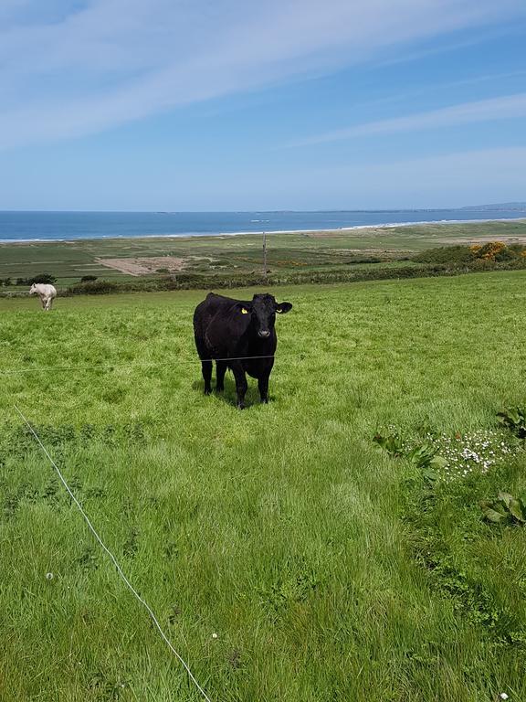 Fort Farmhouse B&B Castlegregory Buitenkant foto