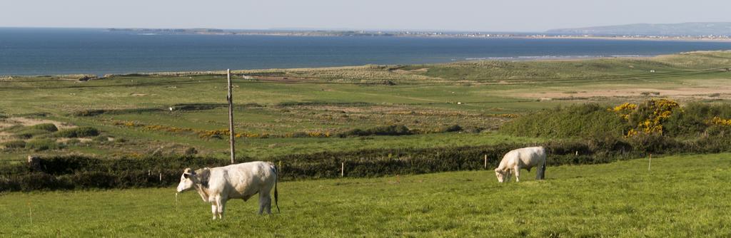 Fort Farmhouse B&B Castlegregory Buitenkant foto