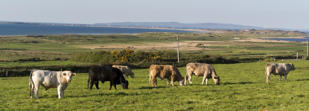 Fort Farmhouse B&B Castlegregory Buitenkant foto