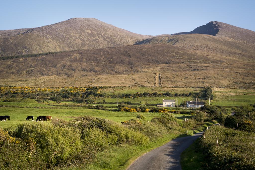 Fort Farmhouse B&B Castlegregory Buitenkant foto